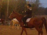 Lili galop