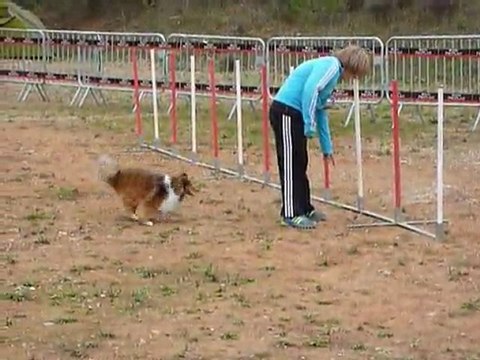 Eiu - 1er degre Hyères 20.11.11