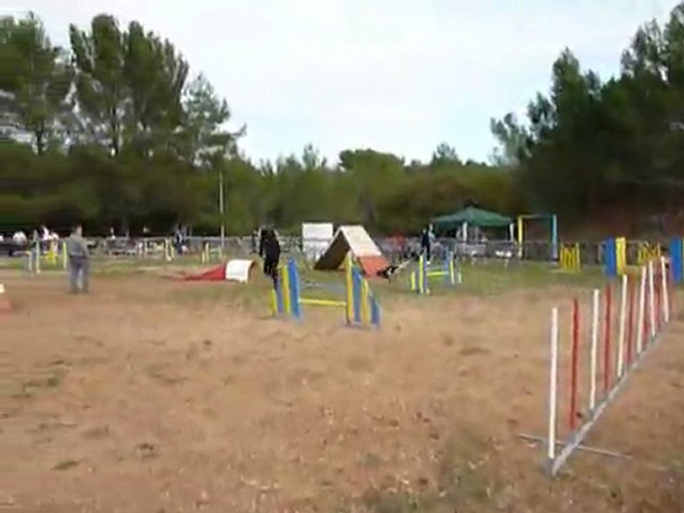Brownie - GPF Hyères 20.11.11