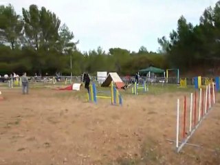 Brownie - GPF Hyères 20.11.11