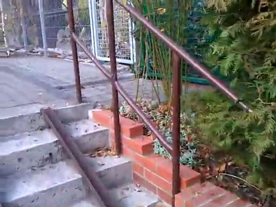 [zadanie od Paweł Soczyński] Moja najbliższa okolica - cz. 2