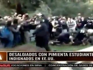 EE.UU.:Policía rocía gas pimienta al rostro de manifestantes
