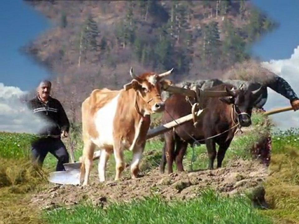 ALİ ELMAS - Çavdırın hanları