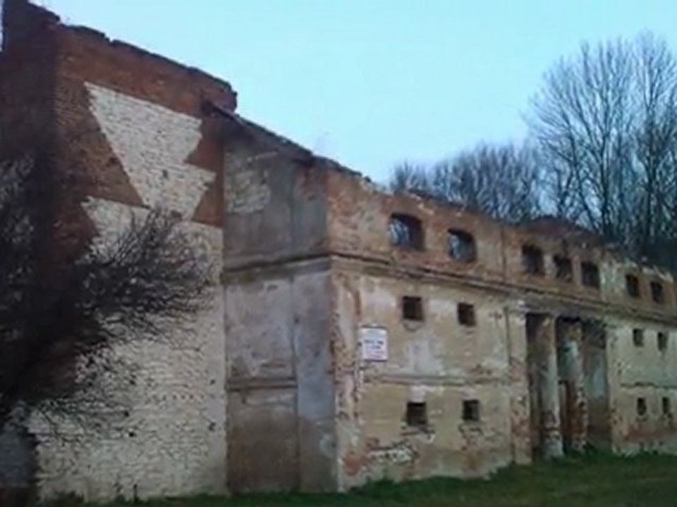 "Szalone kaczki"
