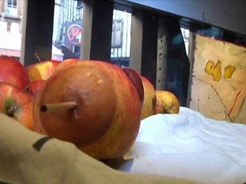 Expo: Hommage à Jean Pellé (Troyes)