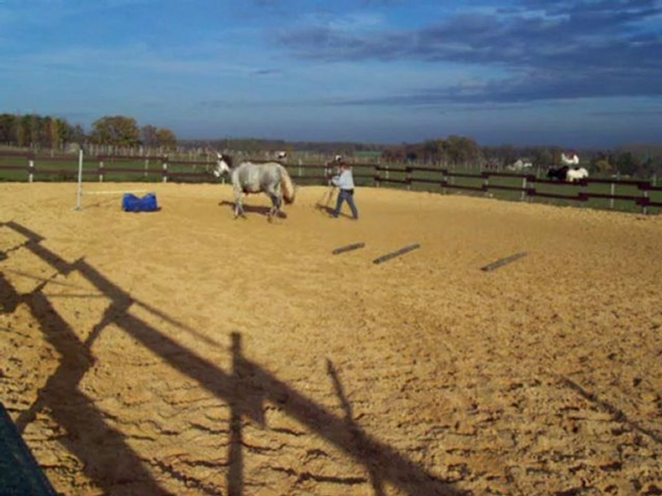 Pas main droite et trot