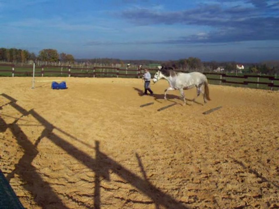 trot main droite et obstacle