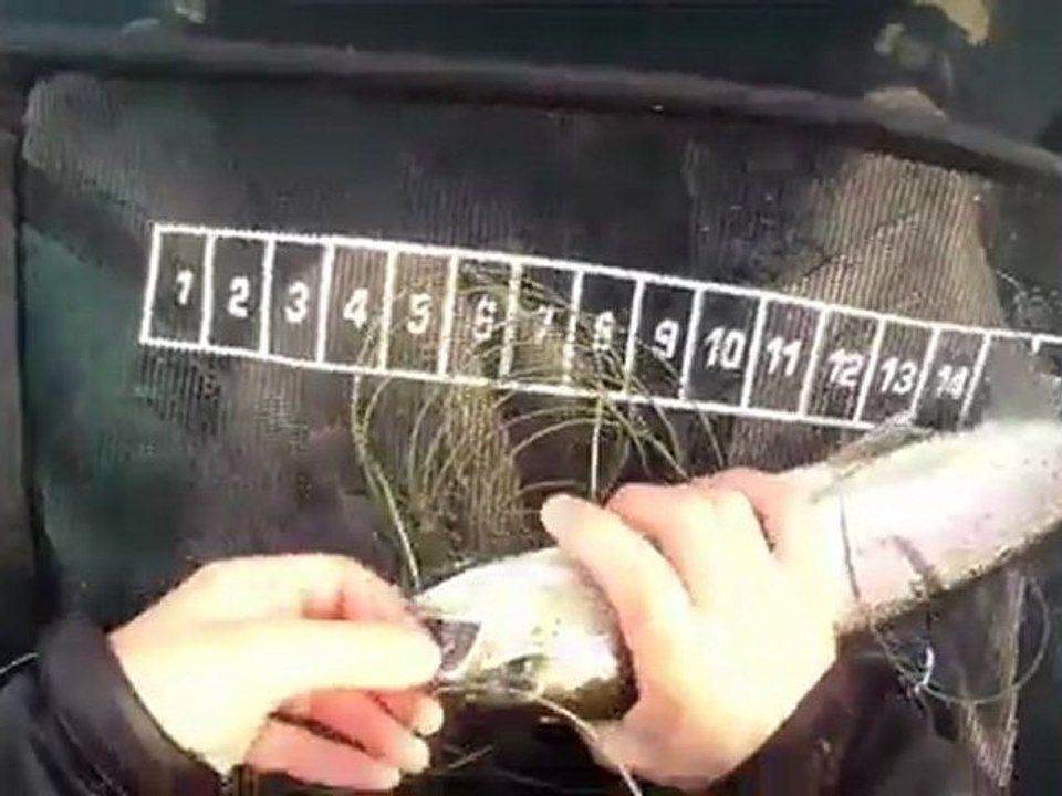 Stage pêche de la truite à la mouche en réservoir, en float tube et avec une canne deux mains