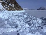 À la recherche de nourriture sous la glace