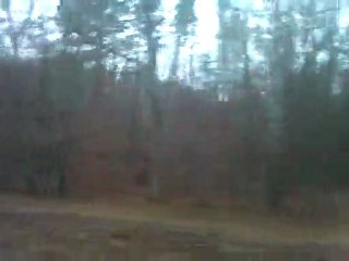 Droga_las_1_640x480 Moja okolica