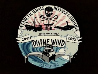 Sea Shepherd // Pour nous arrêter, ils devront nous tuer