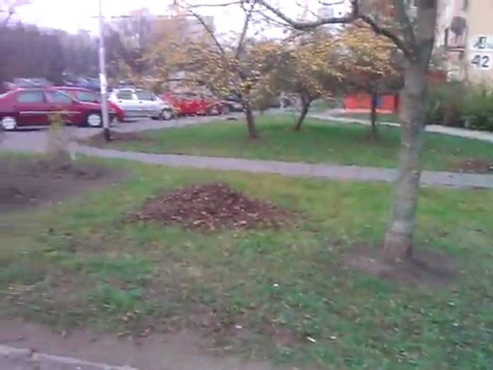 Moja najbliższa okolica - Paweł Dziuk, Koszalin.