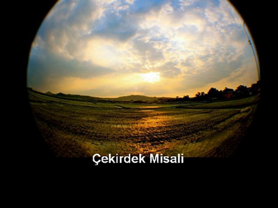 Çekirdek Misali
