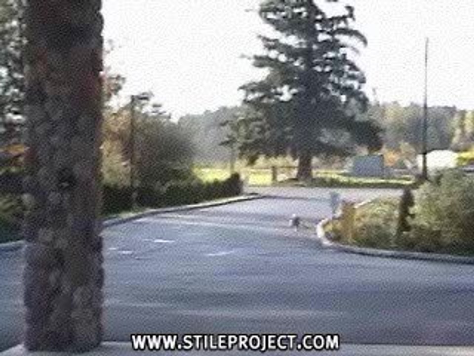chien qui fait du skate
