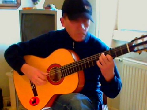 flamenco guitare malaguénas