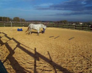 trot main gauche et obstacle 2