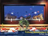 Paloma Renaissance Antalya Beach Resort & Spa - Thomas Cook België / Belgique