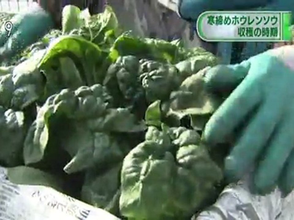 20111122 03