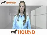 Construction Water Jobs, Construction Water Careers, Employment | Hound.com