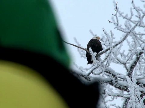 Haglöfs Ski our way