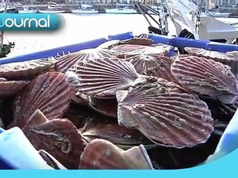 LCN-La Chaîne Normande-Le Journal Tout Image du Mercredi 9 Novembre 2011