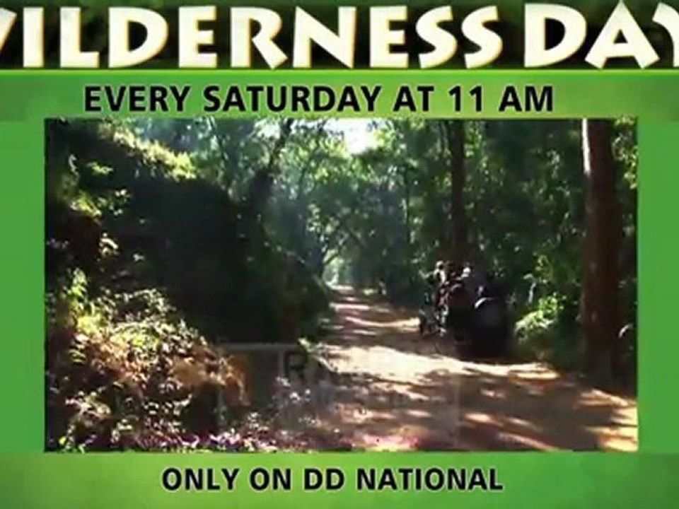 wilderness days.
