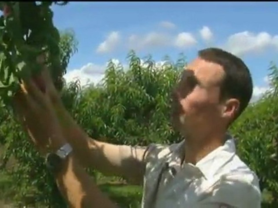 Mathieu : Lauréat des Trophées de l'installation arboriculture - 2011