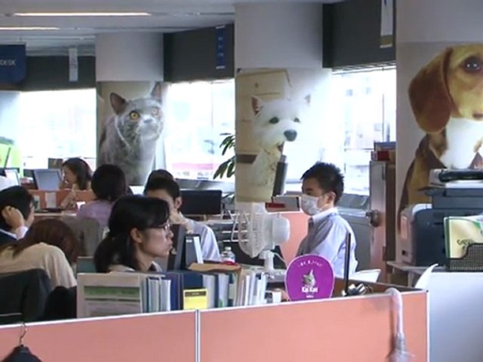 Japon: les animaux de compagnie s'invitent au bureau