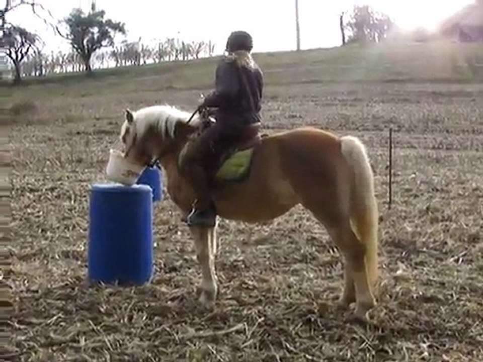 201111 - Poney Games 5
