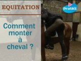 Equitation  - Comment monter à cheval ?