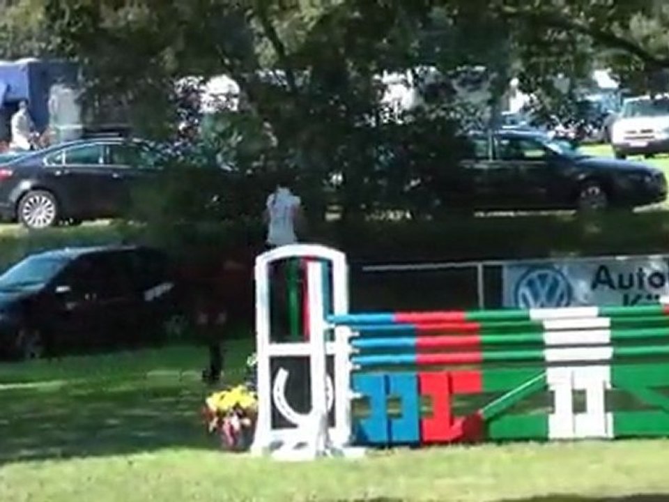 Wallach von Esprit, geb. 2005, www.sportpferde-ruder.de