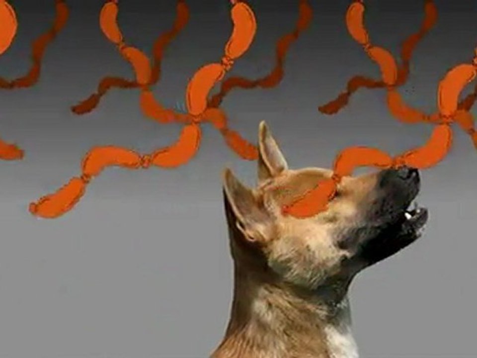 Les saucisses et le chien (Anime Studio, test bones + physics)