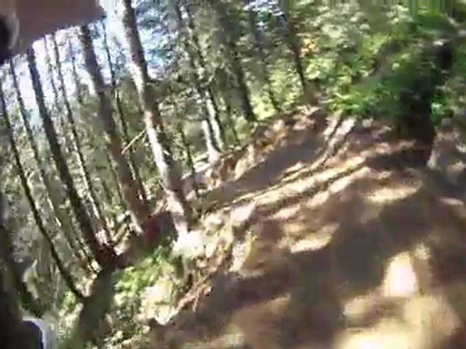 Chatel rouge puis bleu