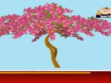 Learn about Plants in Kannada - Shrubs