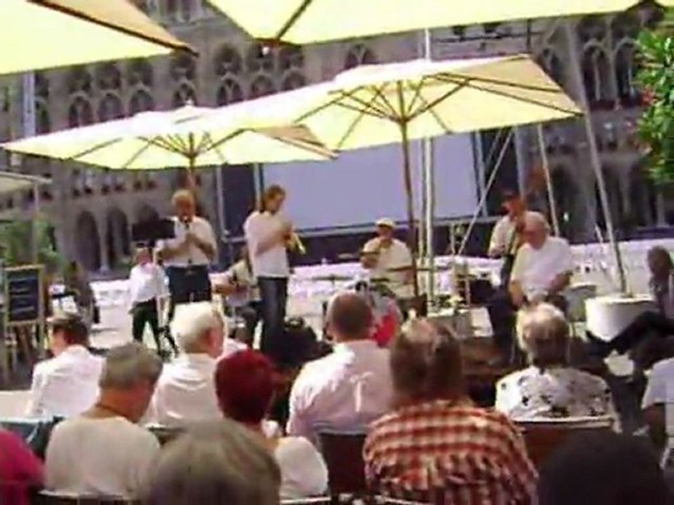 viyana konser