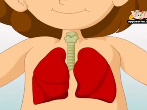 Learn about Human Body Parts in Hindi - Important Body Parts