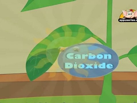 Learn about Plants in Hindi - Photosynthesis