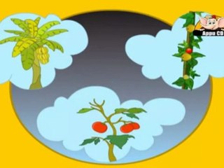 Learn Fruits & Vegetables in Hindi - Introduction