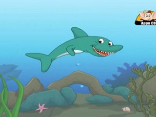Learn about animals in Hindi - Animals that can swim