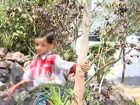 Babuni Tawar Dharavtiya E Dekho Babuni Hatake Oodhni Tinku Soni Bhojpuri Angle Music