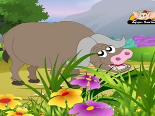 Animal Sounds - Buffalo