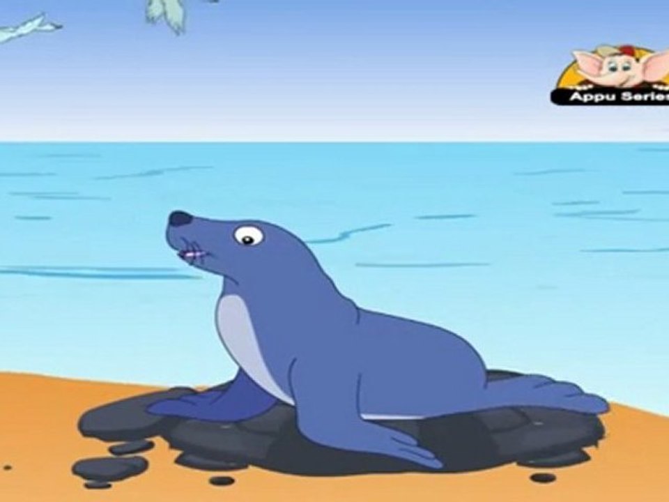 Animal Sounds - Seal