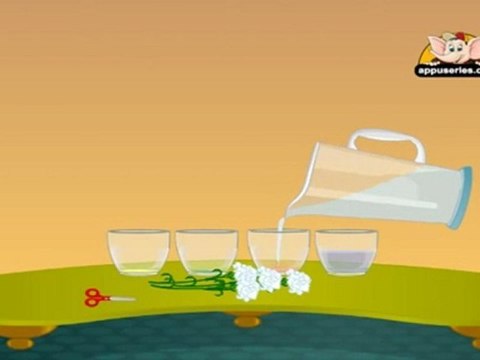 Learn Science through Home Experiments in Kannada - Drinking Plants