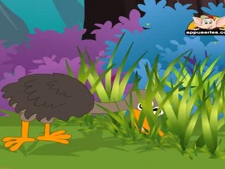 Animal Sounds - Kiwi