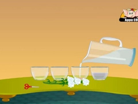 Learn Science through Home Experiments in Hindi - Drinking Plants