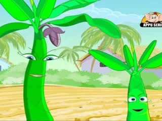 Learn about Plants in Hindi - Conclusion