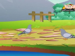 Animal Sounds in Telugu - Pigeon