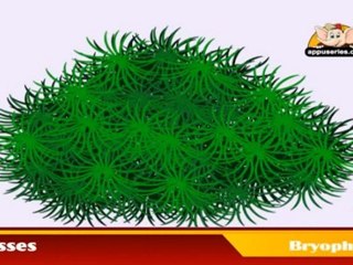 Learn about Plants in Kannada - Bryophytes