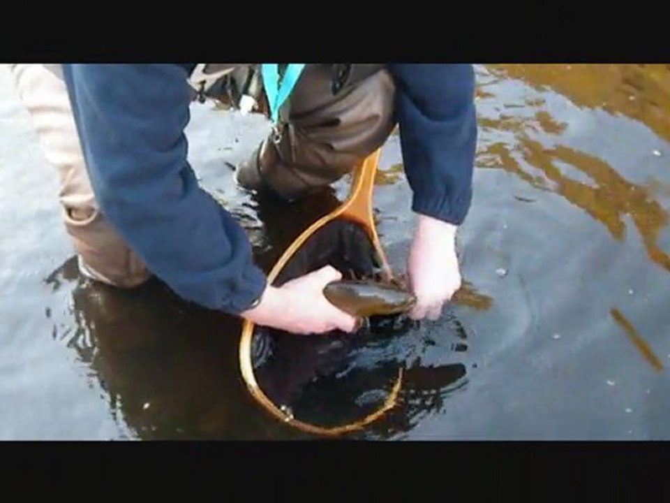 fermeture 2011