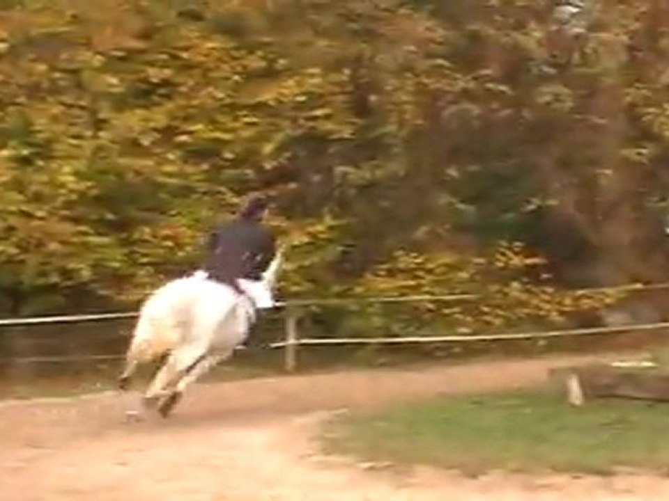 Première épreuve du Challenge, CSO - Première épreuve